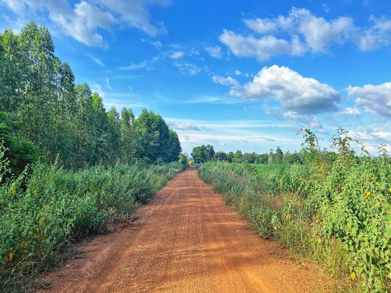 For Sale - https://www.klungbaan.com/property/ขายที่ดิน-เนื้อที่-41-ไร่-2-ง-2/, Chai Nat