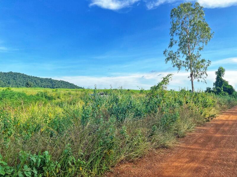 For Sale - https://www.klungbaan.com/property/ขายที่ดิน-เนื้อที่-41-ไร่-2-ง-2/, Chai Nat