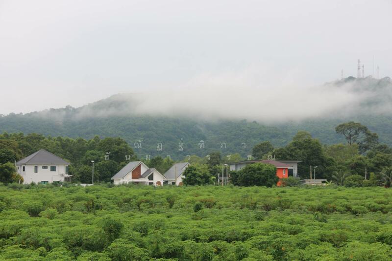 For Sale - ตำบลบางพะ อำเภอศรีราชา จังหวัดชลบุรี, Chon Buri