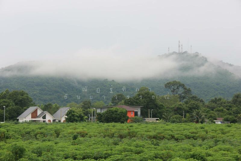 For Sale - ตำบลบางพะ อำเภอศรีราชา จังหวัดชลบุรี, Chon Buri