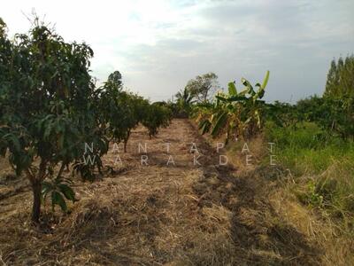 ขาย - ที่ดินพร้อมสวนมะม่วง วังสมบูรณ์ จ.สระแก้ว, สระแก้ว