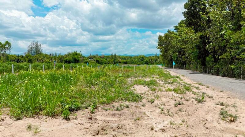 ขาย - ขายที่ดิน ที่ดินสวนผึ้งวิวเขาตะนาวศรี!! ใกล้แยกชัฏป่าหวาย แค่ 2 นาที!!, ราชบุรี