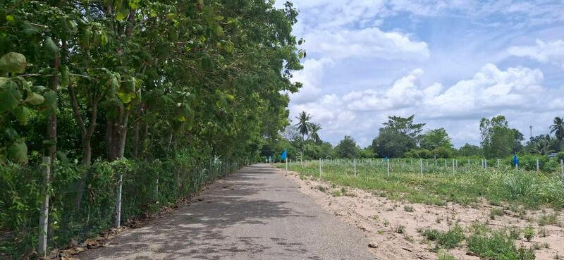 ขาย - ขายที่ดิน ที่ดินสวนผึ้งวิวเขาตะนาวศรี!! ใกล้แยกชัฏป่าหวาย แค่ 2 นาที!!, ราชบุรี