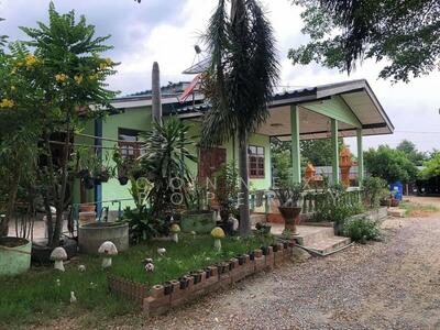 ขาย - หาไม่เจอ, นนทบุรี