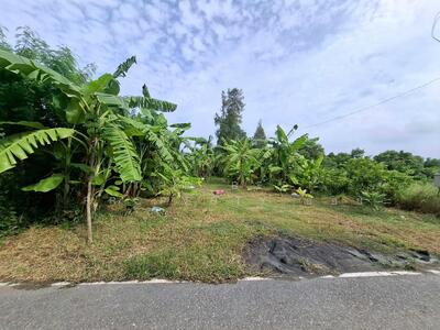 ขาย - ที่ดินคลองจุกกระเฌอ ฉะเชิงเทรา, ฉะเชิงเทรา