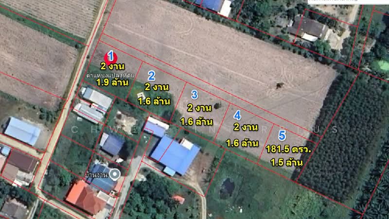 Land for sale in Khlong Kiew Ban Bueng, starting at 181 sq m., near Hua Khuen Market - 1.7 km., Chon Buri (Pattaya), Khlong Kiu, Ban Bung, Chon Buri (Pattaya), , 724 sqm, Land For Sale, by RICHWELL INTERPLUS, 60202688 - DDproperty.com