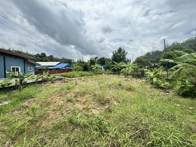 ขาย - ขายที่ดินมาบข่า 100 ตรว. ติดถนน3ด้านถมแล้วล้อมรั้ว ใกล้นิคมซีพีจีซีCPGC-4กม., ระยอง