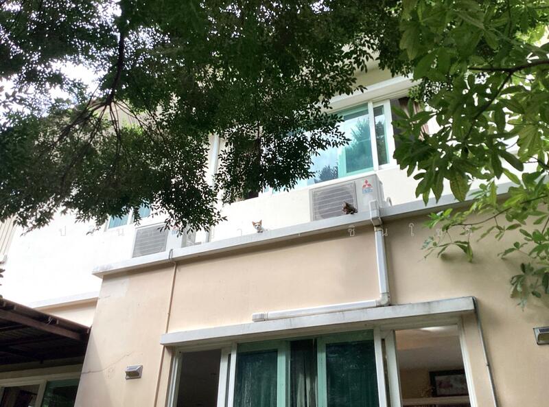For Rent - Casa Ville Ratchaphruek-Chaengwattana, Nonthaburi