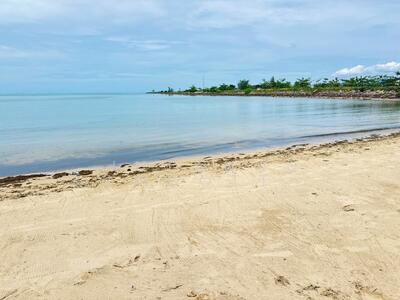 ขาย - ขายที่ดินริมชายหาด เกาะสมุย 5ไร่ 1 งาน 60.20 ตร.ว. ไร่ละ 30 ล้านบาท ใกล้สนามบินเกาะสมุย บ่อผุด, สุราษฎร์ธานี