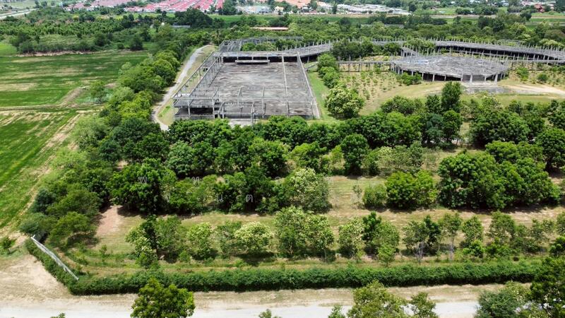 ขาย - 94955 - ขายที่ดิน 57 ไร่ ติดถนนเลี่ยงเมืองพิษณุโลก ใกล้สนามบิน ถมสูง 3 เมตร ราคา 171 ล้านบาท, พิษณุโลก
