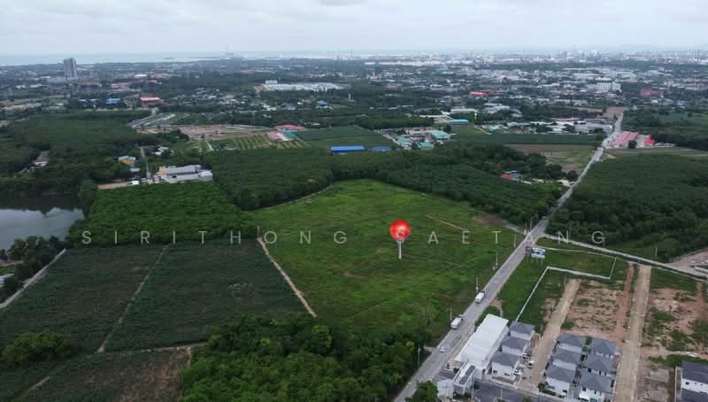 ขายที่ดินมาบตาพุด กลางเมืองระยอง ใกล้ถนนสุขุมวิท มีหลายแปลง 1.5 ไร่ ถึง 2.5 ไร่ เริ่ม 2.8 ลบ. ต่อไร่, ระยอง, ถนนหลังวัดมาบตาพุด, มาบตาพุด, เมืองระยอง, ระยอง, 2,580 ตร.ม., ที่ดิน ขาย, โดย Sirithong Saetang, 60204116 - DDproperty.com