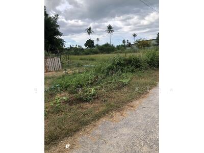 ขาย - ที่ดิน, ประจวบคีรีขันธ์