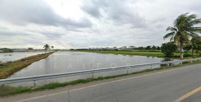 ขาย - ขายที่ดิน 79 ไร่ พื้นที่สีม่วง ลำลูกกา ปทุมธานี BRE25926, ปทุมธานี