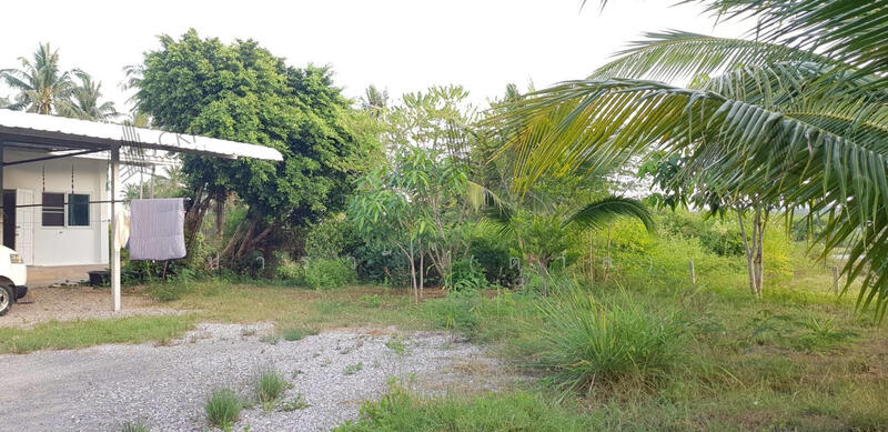 ขาย - 93244 - ที่ดินเปล่า ติดหาดสามร้อยยอด เพียง 30 เมตร ไม่ไกลถนนใหญ่ ใกล้สถานที่ท่องเที่ยว, ประจวบคีรีขันธ์