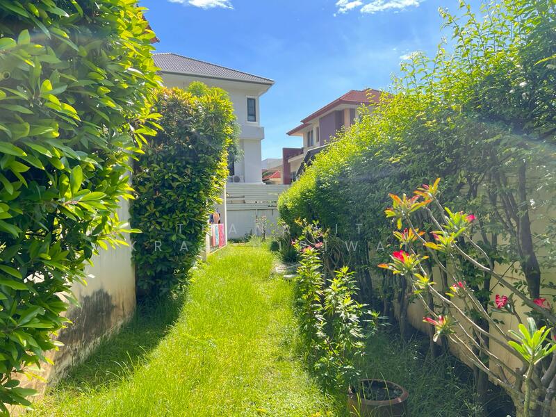 ขายด่วน บ้านเดี่ยว 3ชั้น ราคาพิเศษจาก 28.9 เหลือ 22 ล้าน ใกล้MRT, กรุงเทพ, บางซื่อ, บางซื่อ, กรุงเทพ, 520 ตร.ม., บ้านเดี่ยว ขาย, โดย Thananit Kraikhiriwat, 60205868 - DDproperty.com