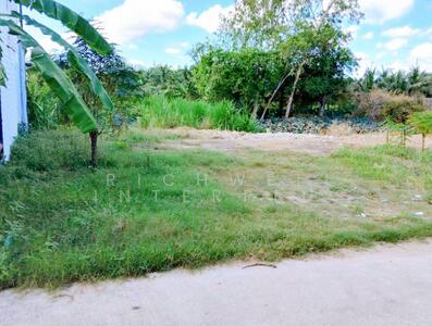 ขาย - ขายที่ดินห้วยใหญ่ พัทยาถมแล้วเนื้อที่ 100 ตรว. ซอยชากนอก16 ใกล้หาดจอมเทียน7กม., ชลบุรี