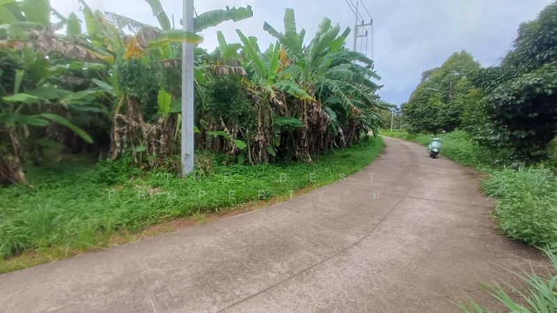 ขาย - ที่ดินท่าใหม่ จันทบุรี, จันทบุรี