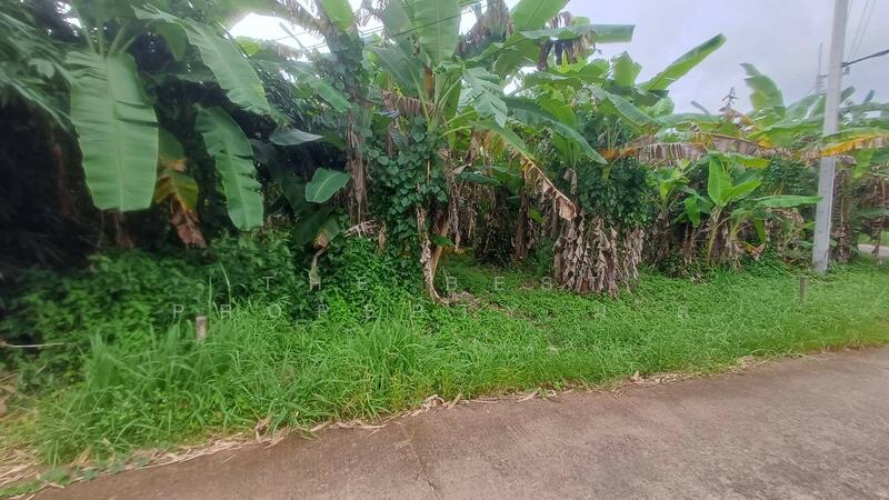 ขาย - ที่ดินท่าใหม่ จันทบุรี, จันทบุรี
