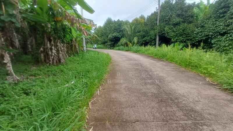 ขาย - ที่ดินท่าใหม่ จันทบุรี, จันทบุรี