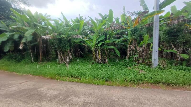 ขาย - ที่ดินท่าใหม่ จันทบุรี, จันทบุรี