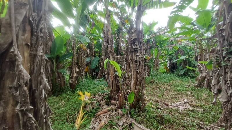 ขาย - ที่ดินท่าใหม่ จันทบุรี, จันทบุรี