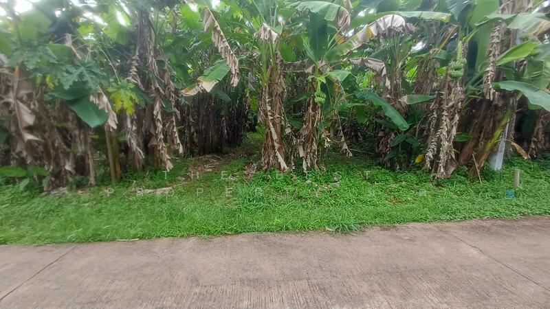 ขาย - ที่ดินท่าใหม่ จันทบุรี, จันทบุรี