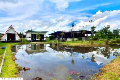 ขาย - TP-984860 ที่ดินพร้อมบ้านเดี่ยวหนองมะโมง 1 ไร่ (บ้านกลางนาโฮมสเตย์) ชัยนาท ใกล้โลตัส ชัยนาท, ชัยนาท