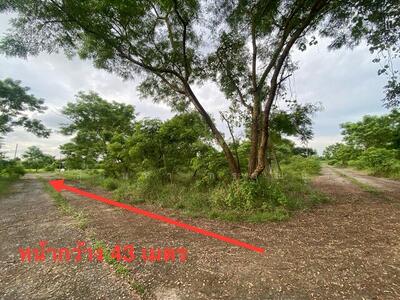 ขาย - ขายที่ดินเปล่า ซอยสุวินทวงศ์ 49 กระทุ่มราย หนองจอก, กรุงเทพ