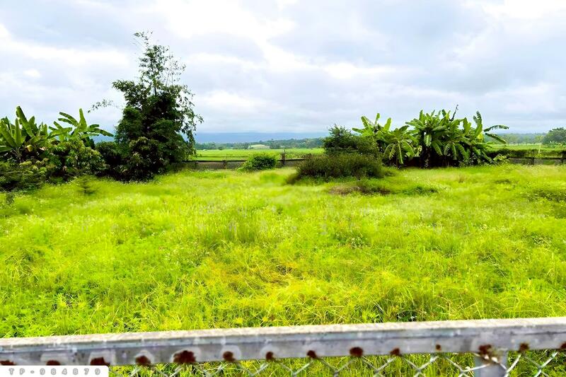 For Sale - TP-984879 Land at Phra That Khing Kaeng, 1 rai 34.1 sq wah, Phayao, near Lotus Chun branch, Phayao