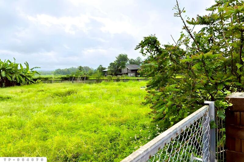 For Sale - TP-984879 Land at Phra That Khing Kaeng, 1 rai 34.1 sq wah, Phayao, near Lotus Chun branch, Phayao