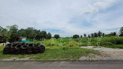 ขาย - ที่ดินเปล่า 8 ไร่ คลอง 8หนองเสือ บึงชำอ้อ ปทุมธานี, ปทุมธานี