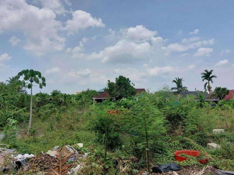 ขาย - ที่ดินเปล่า ติดถนนเอเชีย ตรงข้ามแม็คโคร สุราษฎร์ธานี, สุราษฎร์ธานี