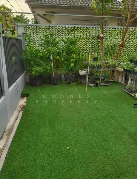 หาไม่เจอ, นนทบุรี, 1 บางกรวย-ไทรน้อย, บางบัวทอง, บางบัวทอง, นนทบุรี, 21 ตร.ม., บ้านเดี่ยว ขาย, โดย Connex Property, 60209172 - DDproperty.com