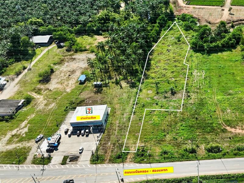For Sale - ที่ดินเขาพนม กระบี่, Krabi
