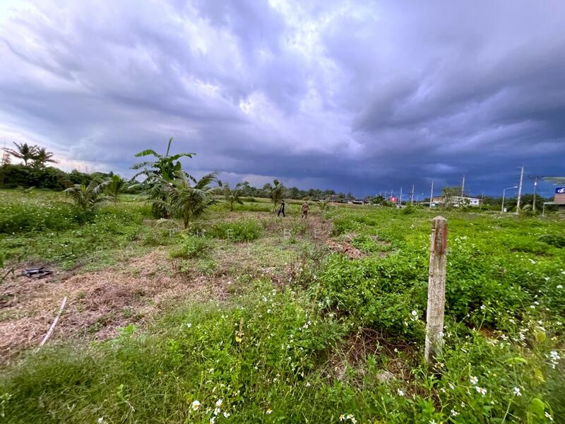For Sale - ที่ดินเขาพนม กระบี่, Krabi