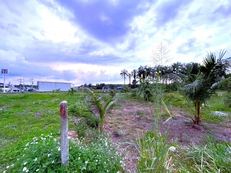 For Sale - ที่ดินเขาพนม กระบี่, Krabi