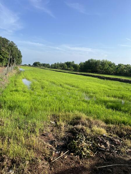 ขาย - ขายที่ดินโคกปีบ ศรีมโหสถ 4 ไร่ ติดคลอง ใกล้แยกโคกปีบ(ถนนเส้น319)-300เมตร, ปราจีนบุรี