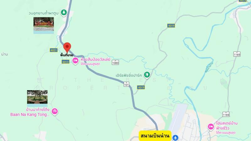ขาย - ที่ดินผาสิงห์ น่าน, น่าน