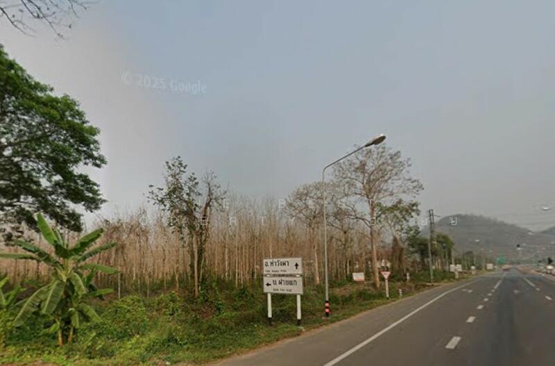 ขาย - ที่ดินผาสิงห์ น่าน, น่าน