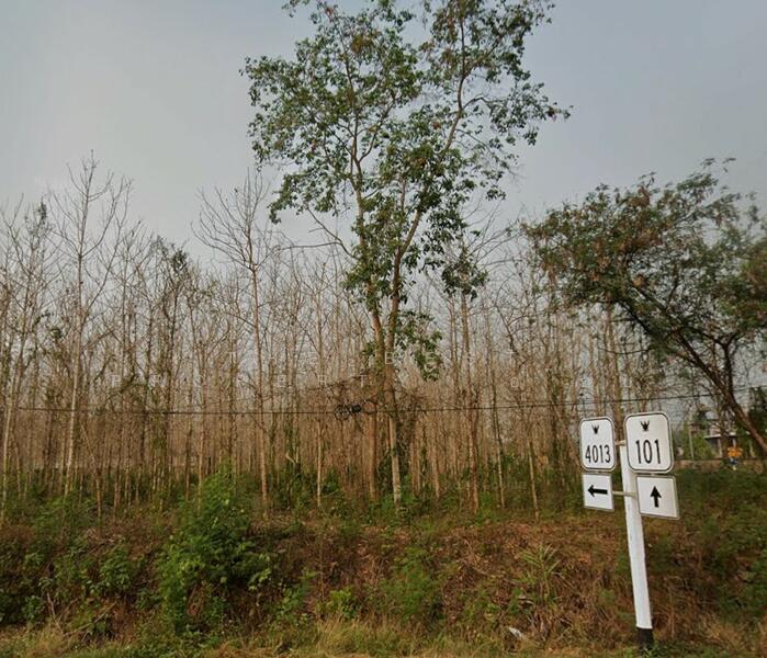 ขาย - ที่ดินผาสิงห์ น่าน, น่าน