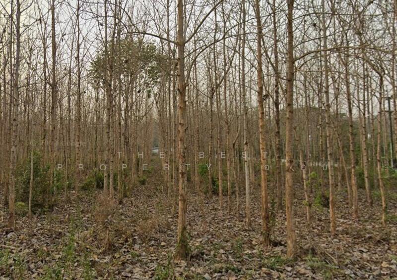 For Sale - ที่ดินผาสิงห์ น่าน, Nan