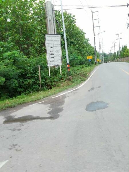 ขาย - ที่ดินผาสิงห์ น่าน, น่าน