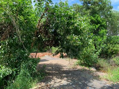 ขาย - ที่ดินบางกะจะ จันทบุรี, จันทบุรี