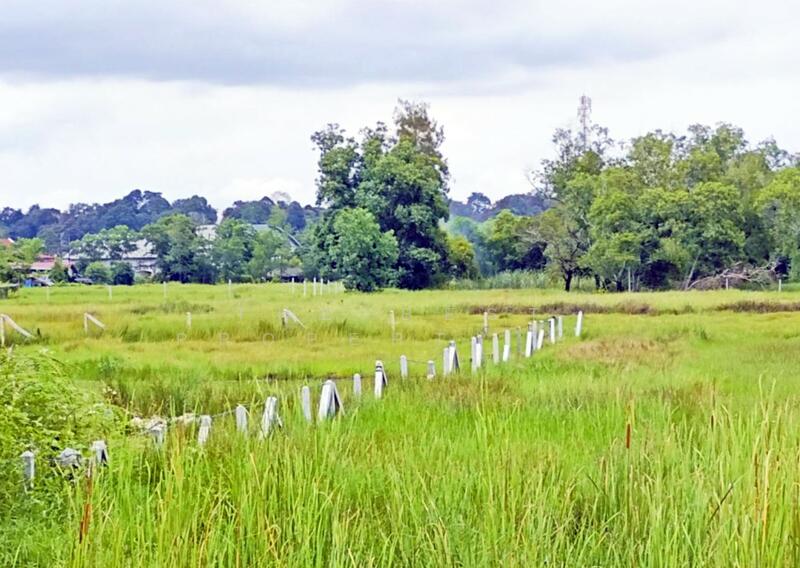 ขาย - ที่ดินบางกะจะ จันทบุรี, จันทบุรี