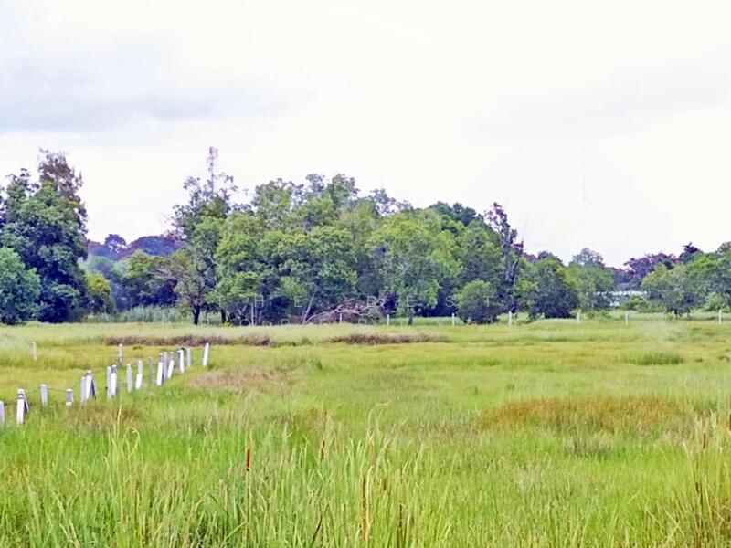 ขาย - ที่ดินบางกะจะ จันทบุรี, จันทบุรี