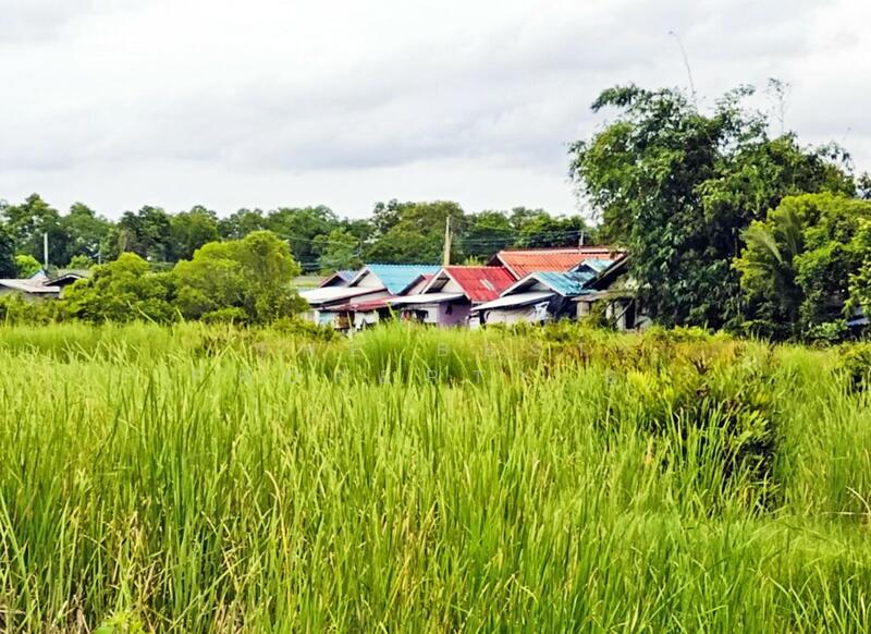 ขาย - ที่ดินบางกะจะ จันทบุรี, จันทบุรี