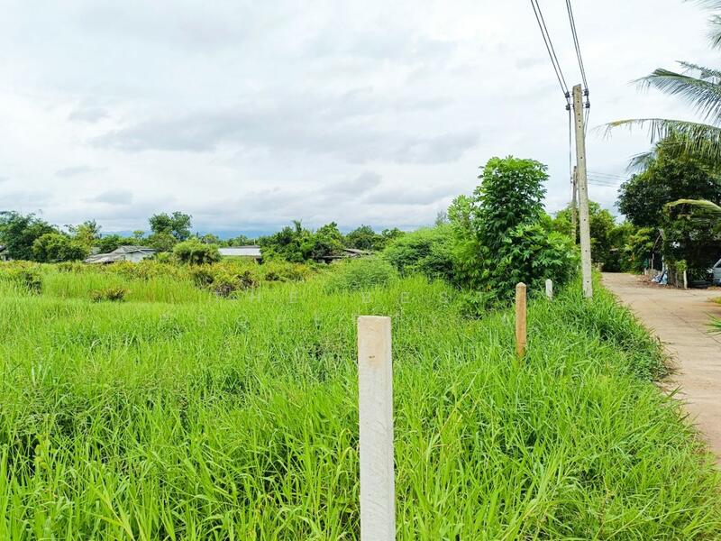 ขาย - ที่ดินบางกะจะ จันทบุรี, จันทบุรี