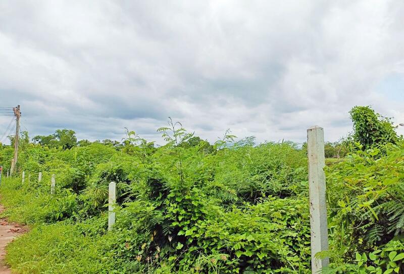 ขาย - ที่ดินบางกะจะ จันทบุรี, จันทบุรี