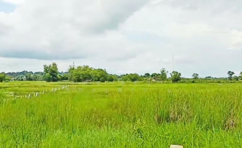 ขาย - ที่ดินบางกะจะ จันทบุรี, จันทบุรี