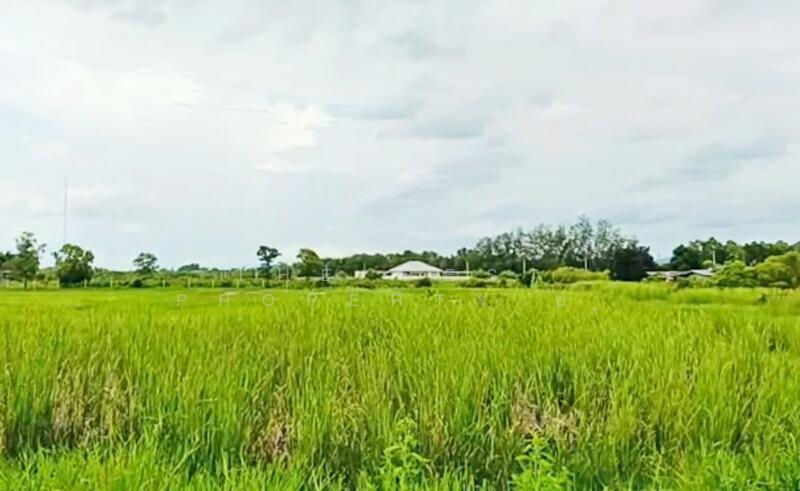 ขาย - ที่ดินบางกะจะ จันทบุรี, จันทบุรี